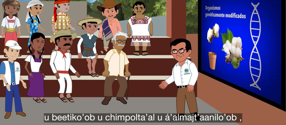 Consulta Indígena